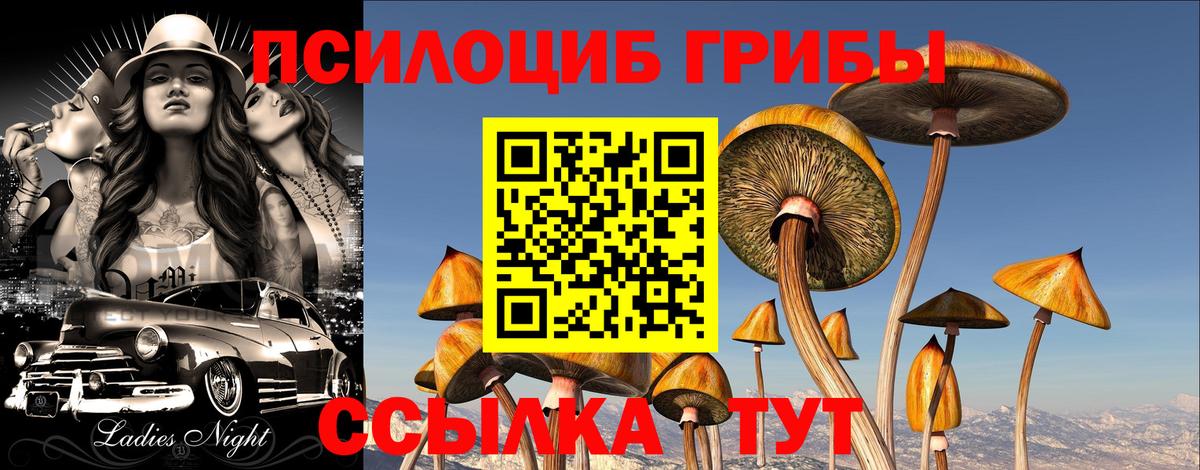Псилоцибиновые грибы GOLDEN TEACHER Тула
