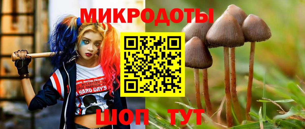 Псилоцибиновые грибы Cubensis  Вход с VPN  Тула  Псилоцибиновые грибы мицелий 